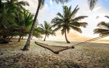 Hammock hanging between the trees