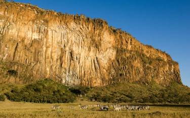 Plains zebras in front of towering rocks