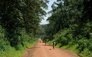 People carrying wood on the road through the reserve