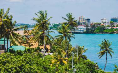 Palm-lined waterfront