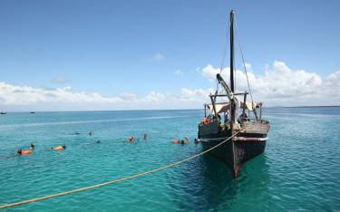 Snorkeling trip with a traditional sailboat