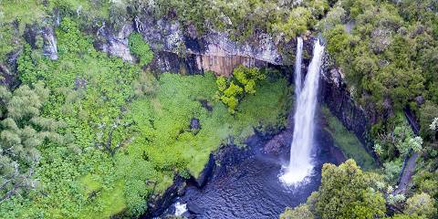 Aberdare National Park Safari