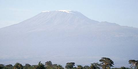 6-Day Kenya Wildlife Safari - Private Budget