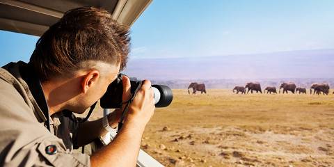 Amboseli and Tsavo's Explore