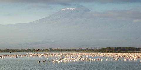 Romantic Kenya Experience