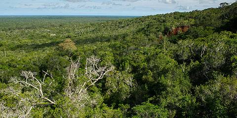 5-Day Amboseli -Naivasha- Masai Classic Midrange Safari