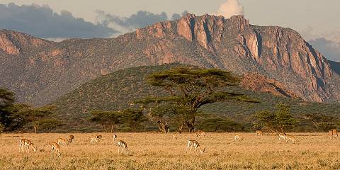 3-Day Amboseli Safari (Private Tour)