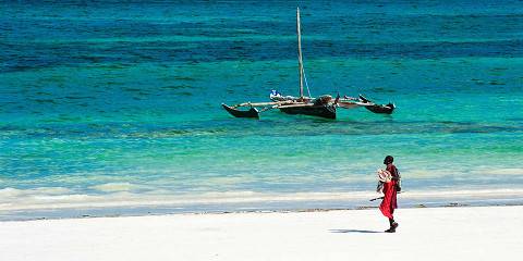 9-Day From the Mara Plains to Diani Shores Safari