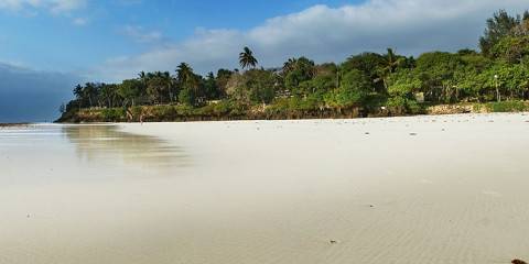 Bush & Beach Adventure