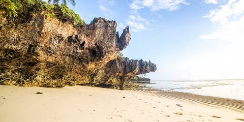 8-Day Bush & Beach Fly in & out Luxury Expedition