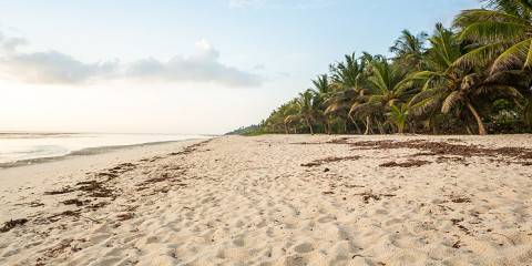 7-Day Remarkable Wildlife and Beach Safari