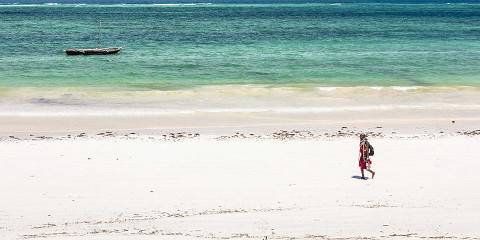 Safari from the Wild to the Silt Beaches of Diani