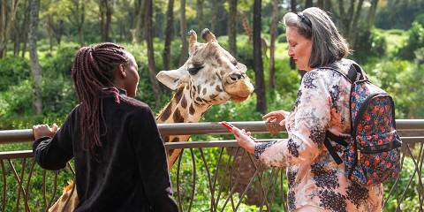 10-Day Humanitarian Service & Conservation Safari - Kenya