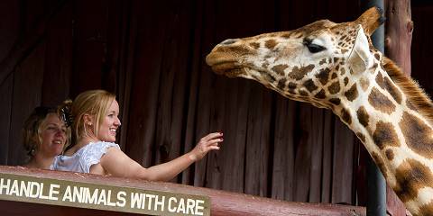 3-Day Nakuru, Naivasha & Nairobi Park Safari