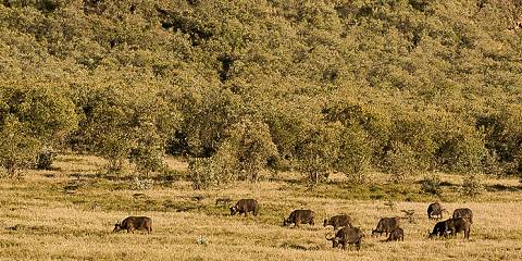 10-Day Kenya and Tanzania