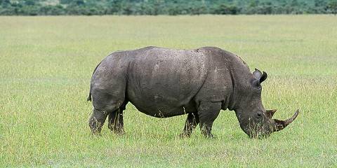 3-Day Masai Mara Joining Group Tour