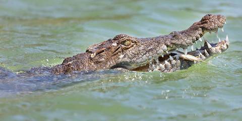 5-Day Kenyan Wilderness to Beach Dropoff