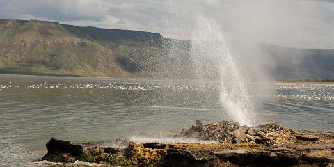 Safari to Lake Bogoria, Lake Nakuru & L Naivasha