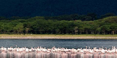 Hells Gate, Lake Nakuru and Masai Mara Mid Tour