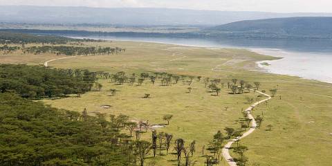 Mid-Range Safari into Kenya Major Parks