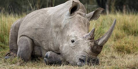 13-Day Epic Budget Group Joining Safari Jeep