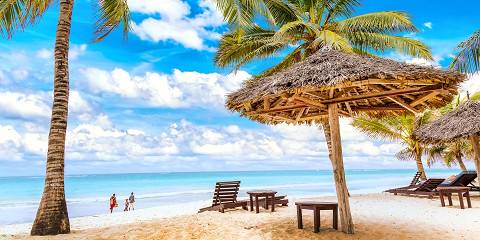 9-Day Bush and Beach Safari