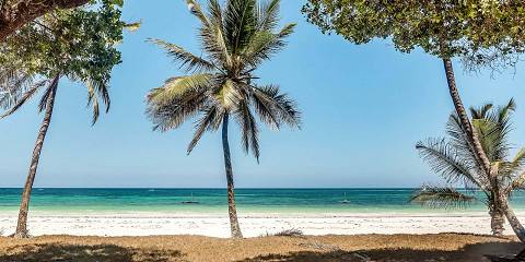 Luxury Living in the Bush and Beach Fun Experience