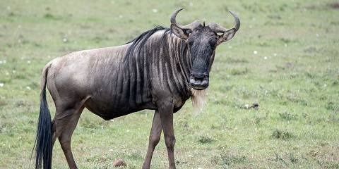 6-Day Samburu, Ol Pejeta & Aberdare North Adventure