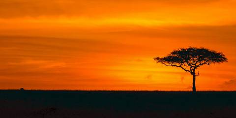 Wild Plains & Rift Valley Escape