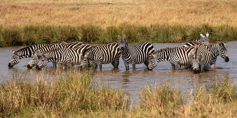 11-Day Ultimate Kenya Family Trip