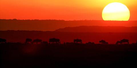 11-Day Inspire & Explore -the Soul of East Africa