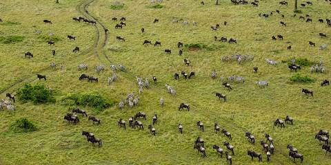 6-Day Masai Mara, Lake Nakuru and Amboseli Luxury Safari