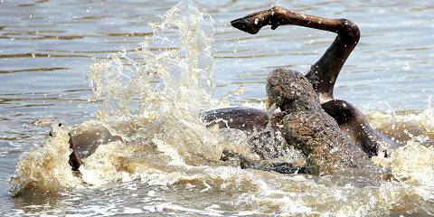 3-Day Masai Mara Migration, the Prideinn Camp Experience