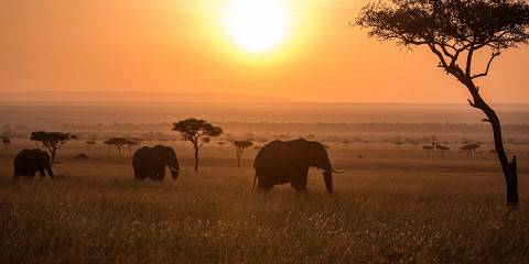 3-Day Masai Mara NR Mid Range Tour