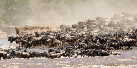 7-Day Best of Kenya Safari