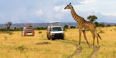 7-Day Best Major Parks Safari Experience