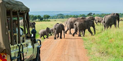 7-Day Kenyan Odyssey Mid-Range Safari - Amboseli-Mara
