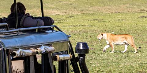 6-Day Kenya's Big Five Expedition