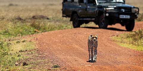 3-Day Masai Mara Exclusive Luxury Safari