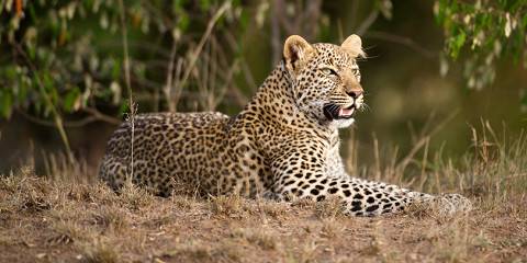 12-Day Kenya & Tanzania Stunning Budget Group Joining