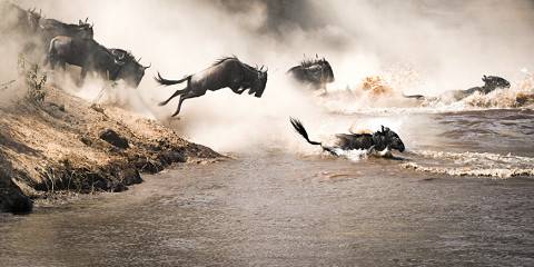 8-Day Wild Luxury Safari in Kenya
