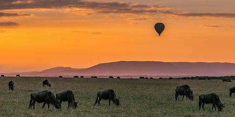 8-Day Kenya Classic Wildlife Safari & Mombasa Beach Stay