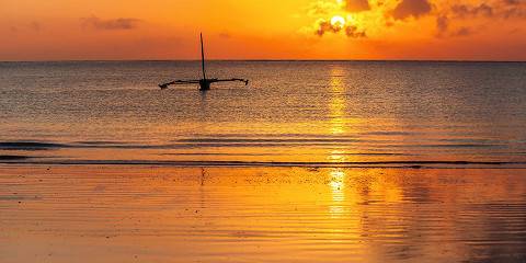 8-Day Wildlife Adventure & Beach Relaxation