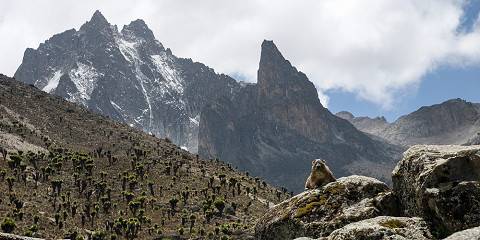 Mount Kenya Hiking via Sirimon - Chogoria Route