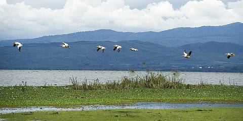 5-Day Fascinating Luxury Safari