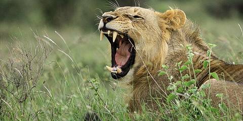 6-Day Magical Kenya Luxury Tour