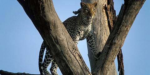 8-Day Iconic Rift Valley, Mara Expedition Mid Range Tour