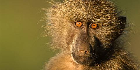 3-Day Samburu Wilderness Safari