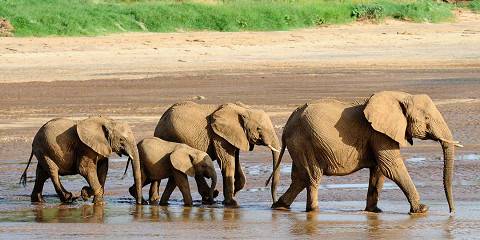 3-Day Nature & Serenity in Amboseli