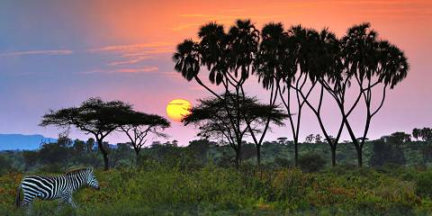 Samburu Wilderness Experience